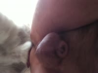 Hot anal getting drilled by valuable doggy